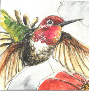 Hummingbird - Art Print